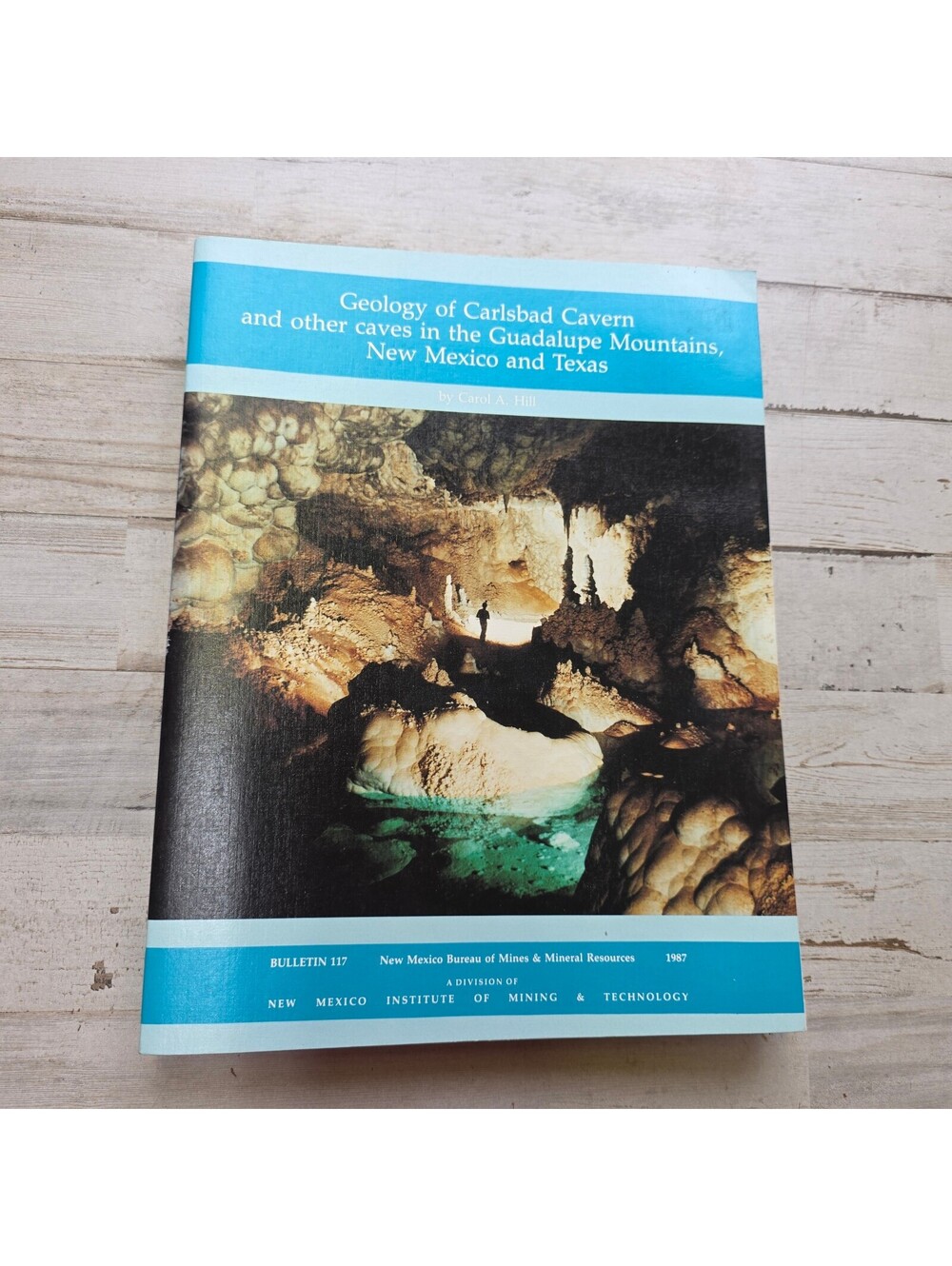 Geology of Carlsbad Cavern Guadalupe Mountains Carol A Hill 1987 New Mexico TX